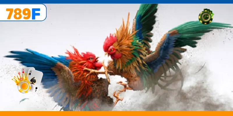 Đá Gà Cựa Dao – Trải Nghiệm Cá Cược Online Kịch Tính 2 Loại gà vô cùng dũng mãnh trong những trận đá kịch tính