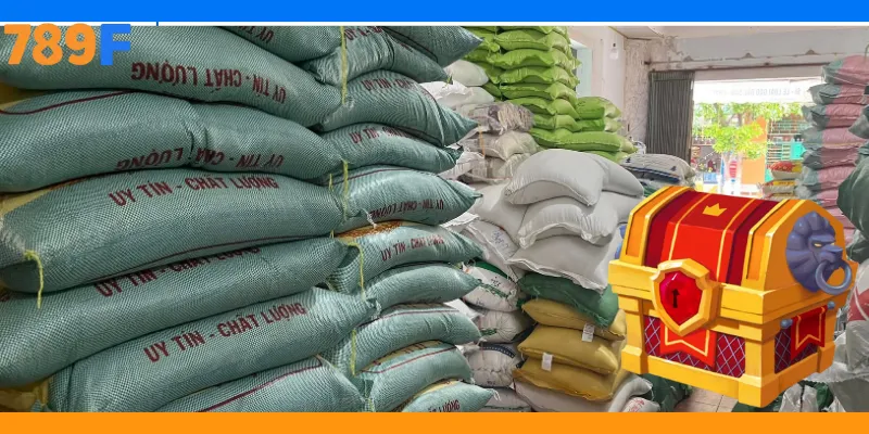 789F Tặng Gạo Cuba: Lan Tỏa Yêu Thương Và Chia Sẻ Cộng Đồng 2 789F Tặng Gạo Cuba: Lan Tỏa Yêu Thương Và Chia Sẻ Cộng Đồng